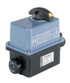 Electrical Rotary Actuator